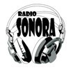 LLEGA RADIOSONORA A ENRADIADOS (03/06/09)